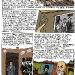 Aleksandar Zograf /Linz Comic